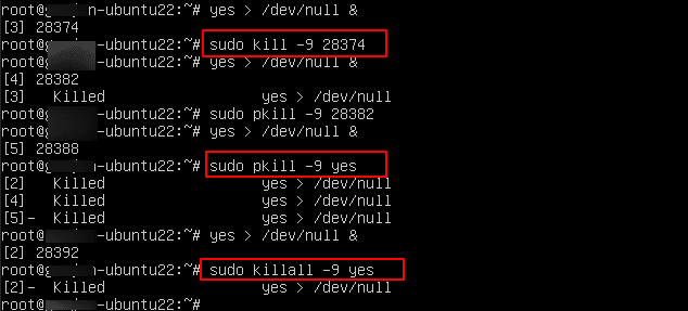 How to kill a process in Linux