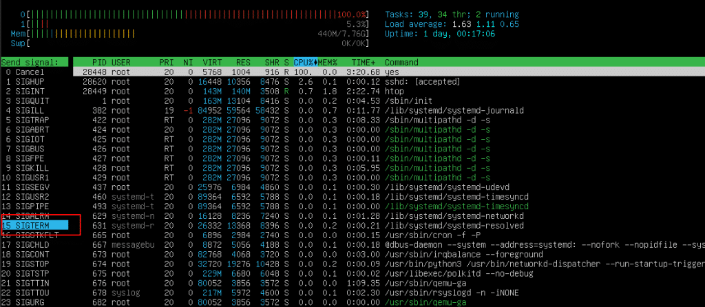 How to kill a process in Linux